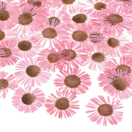 Pack dried pressed - pressed, flowers