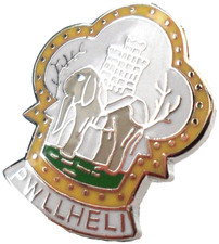 Pwllheli Town Small Pin Badge