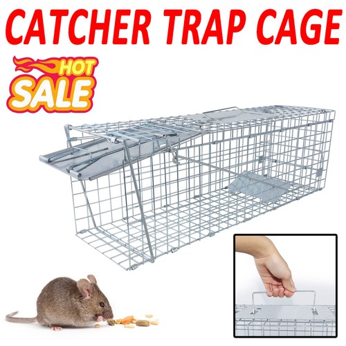 Large humane live - large,