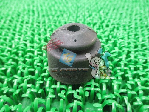 Rear master cylinder dust - rear,