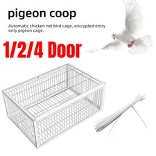 Pigeon trap cage - pigeon,