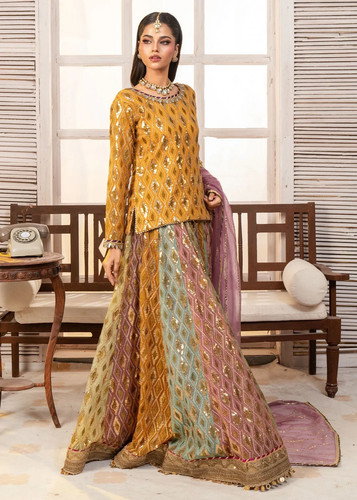 Wedding party wear pakistani - party,
