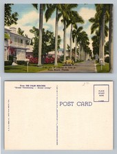 Palm Beach, FL-Florida Residential Palm Tree Lined Street Homes Vintage Postcard