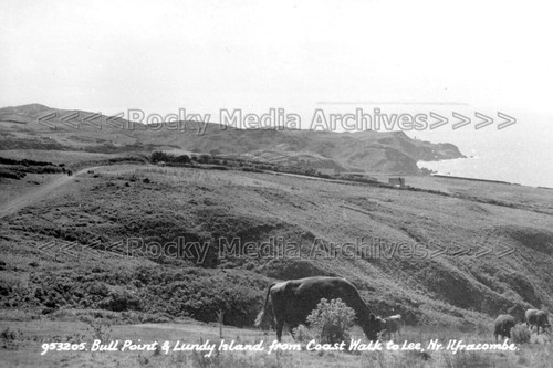 Ehh 100 bull point lundy - bull, &