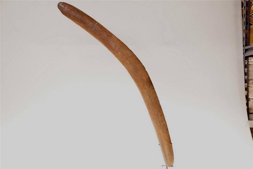 Aboriginal boomerang fluted - boomerang,