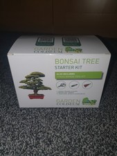 BONSAI TREE KIT - Grow 6 of