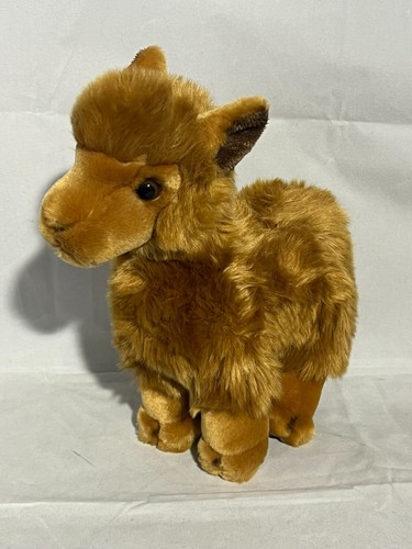 Alpaca llama ravensden - alpaca/llama,