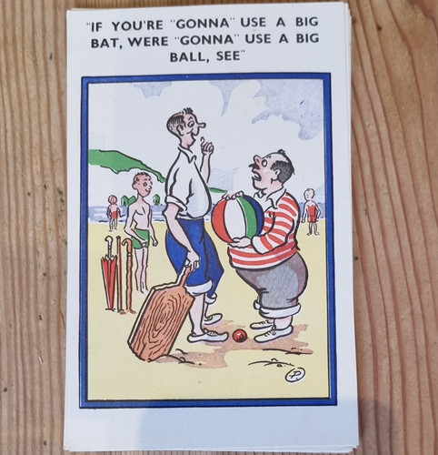 Povart series cricket humour - series,