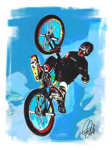 Mat hoffman freestyle bmx - hoffman,