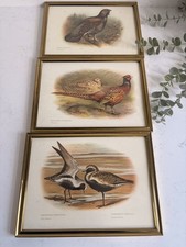Vintage Prints x3 Game Birds