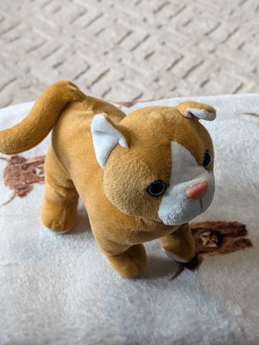 Cute plush cat soft - cute,