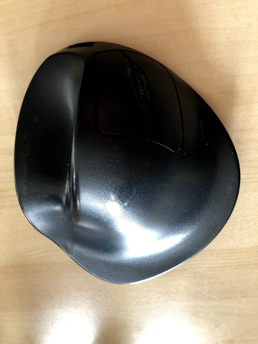 Hippus horseshoe mouse m2wb - hippus,