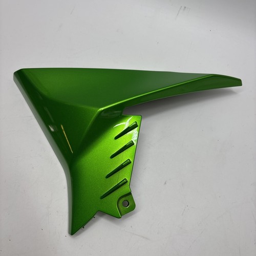 2020 kawasaki z900 - kawasaki, right