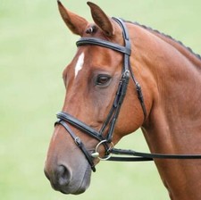 Shires Salisbury Bodenham Bridle - Black