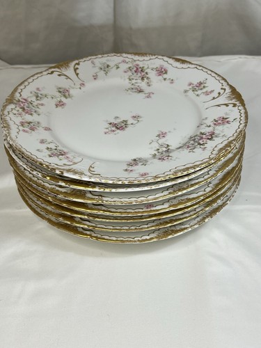 Theodore haviland dinner - 9”,