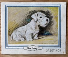 Lucy Dawson SEALYHAM TERRIER