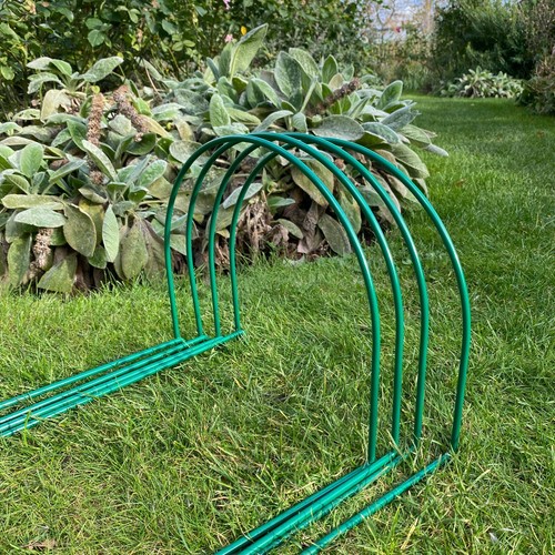 Metal garden plant support - plant,