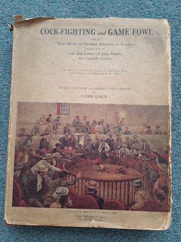 Cock fighting and - fighting,