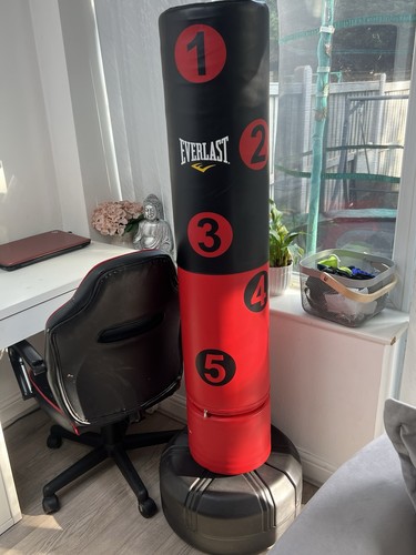 Everlast free standing - free,
