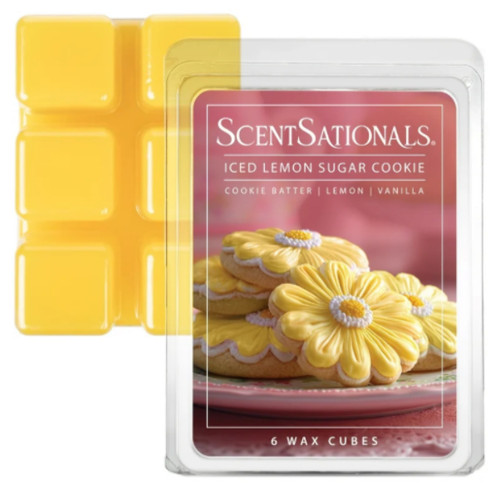 Scentsationals wax melts - scentsationals, 6