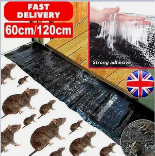 Large size mice mouse - large,