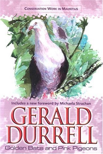 Golden bats and pink - bats, pigeons