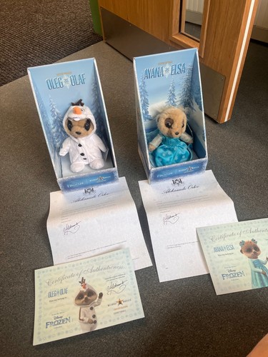 Frozen compare the - compare, meerkat