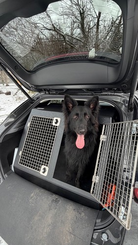 Dog box travel crate - dt,