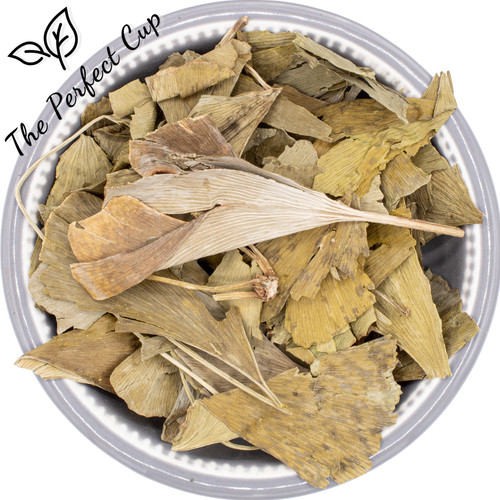 Ginkgo biloba tree loose - ginkgo,