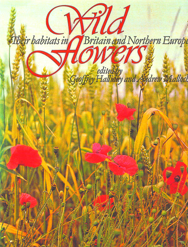 Wild flowers their - wild, flowers: