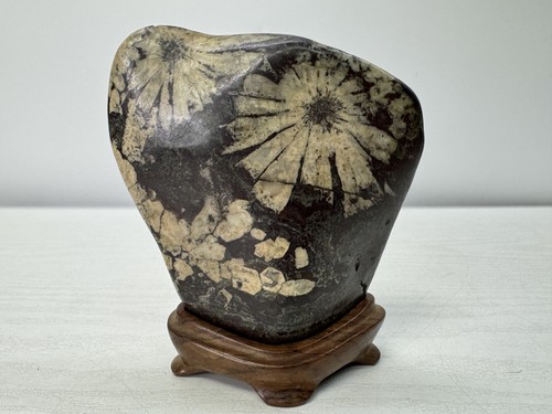 Y10998 okimono chrysanthemum - okimono,