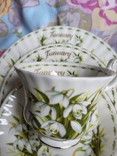 Royal Albert Flower of The