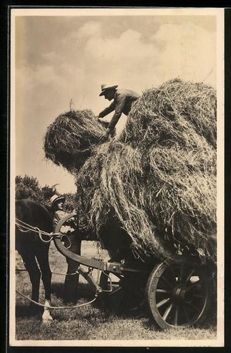 Vecht two farmers a - de,