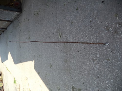 Horse pony tether chain - horse,