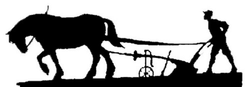 Horse drawn plough - horse,