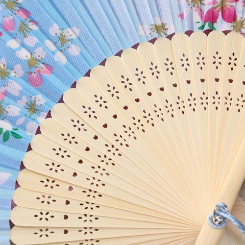 Chinese style folding hand fan - hand,