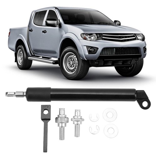 Rear trunk lift support carbon - rear,