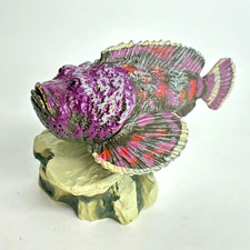 Colorata Coral Reef Fish Mini