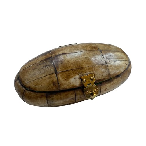 Primitive oval bone - 5-1/2",