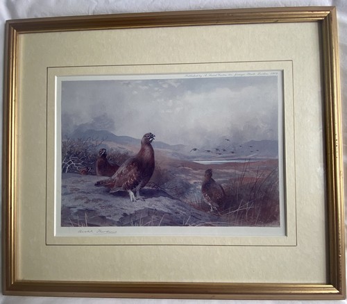 Archibald thorburn - archibald,