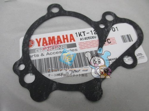 Water pump gasket in - water,
