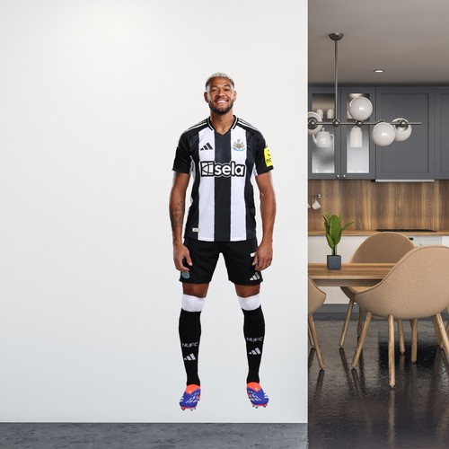 Newcastle united wall sticker - newcastle,