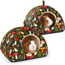 Guinea pig nest set 2 - guinea,