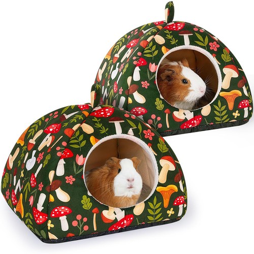 Guinea pig nest set - guinea, of