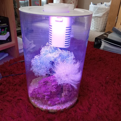 Small cylinder acrylic - cylinder,