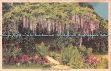 R257850 Garden arbour covered with Wistaria Colour Schemes with Garden Flowers P