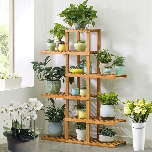 Large wood plant - wood, stand