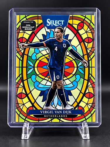 Virgil van dijk - virgil, stained