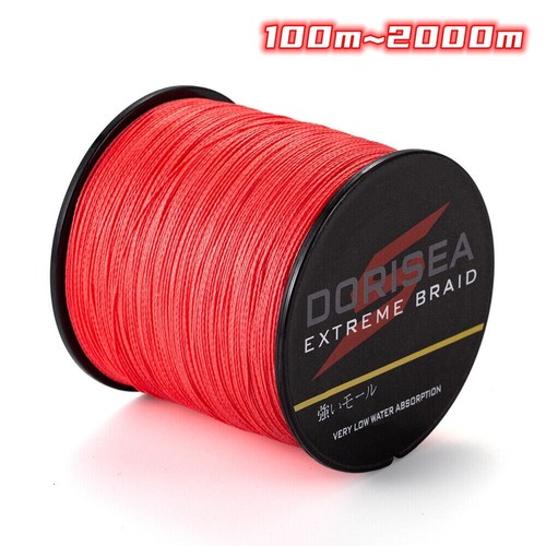 Sprctr braid 100m 2000m - braid, 100m-2000m