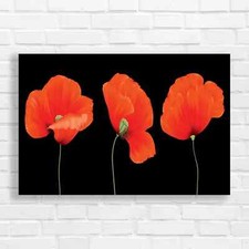 Vibrant Red Poppy Floral Home